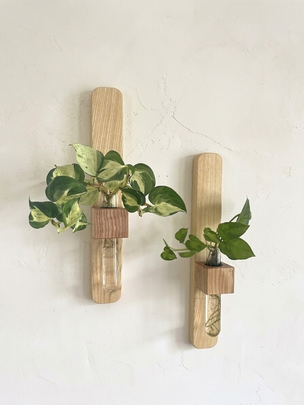 BotaneryLab VERTICAL DUO na stenu