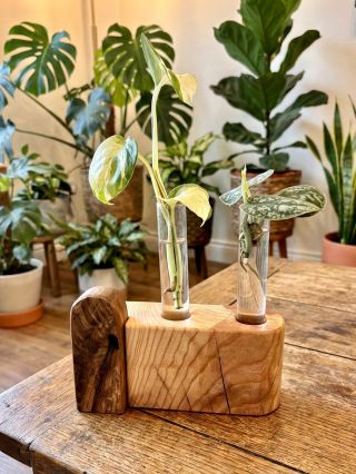 🌱 Vystavte svoje obľúbené odrezky ako dizajnový kúsok, ktorý si zaslúži pozornosť. Stanica na zakoreňovanie a...